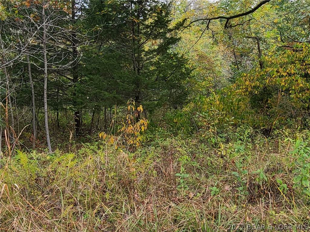 TBD Le Grelle Place - Photo 1