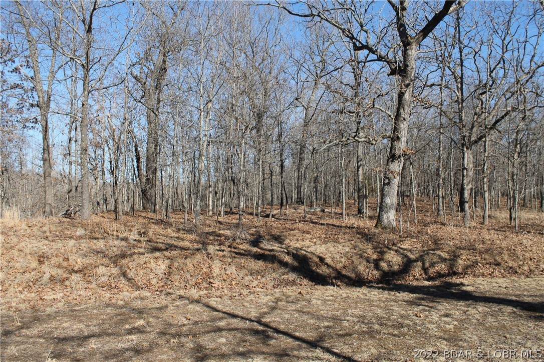 Dunn Drive - Photo 1