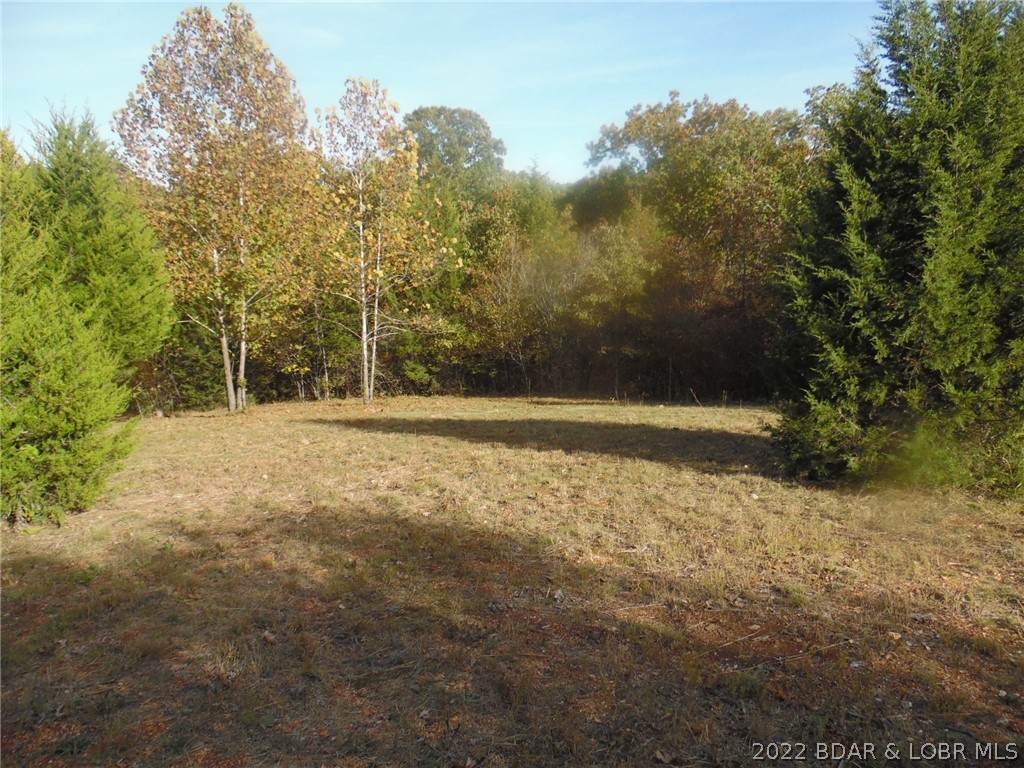 TBD Ivy Bend Road - Photo 1