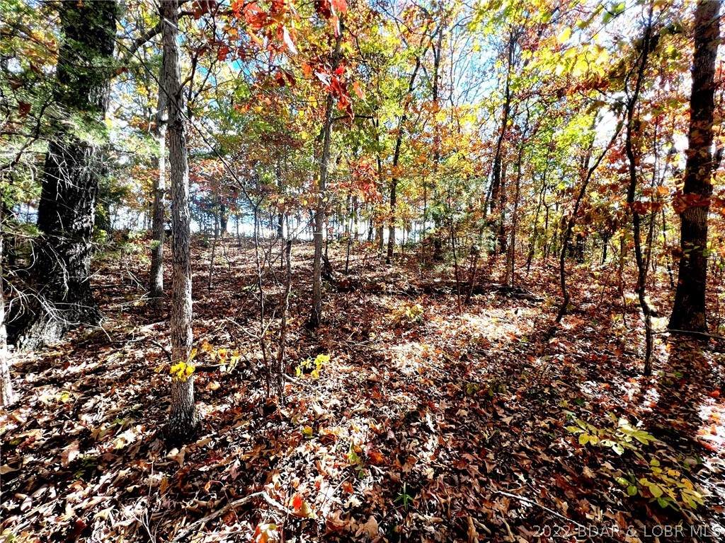 Lot 51 Indian Creek Hills - Photo 1