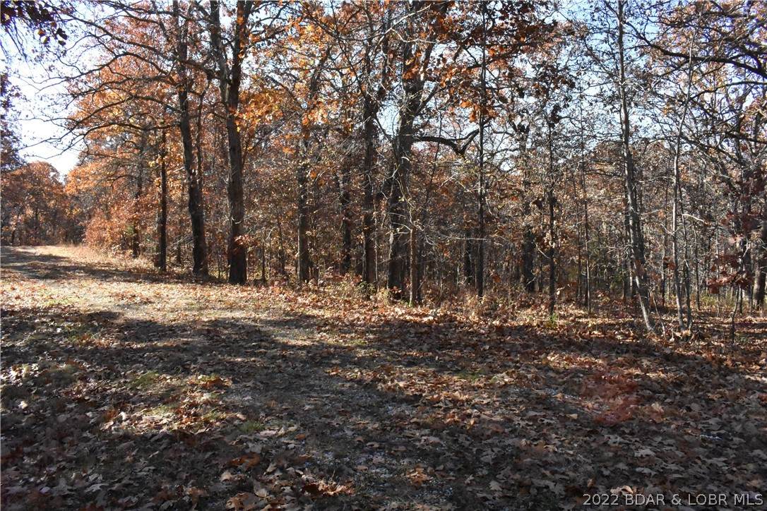 Lot 187 Bickers Circle - Photo 1