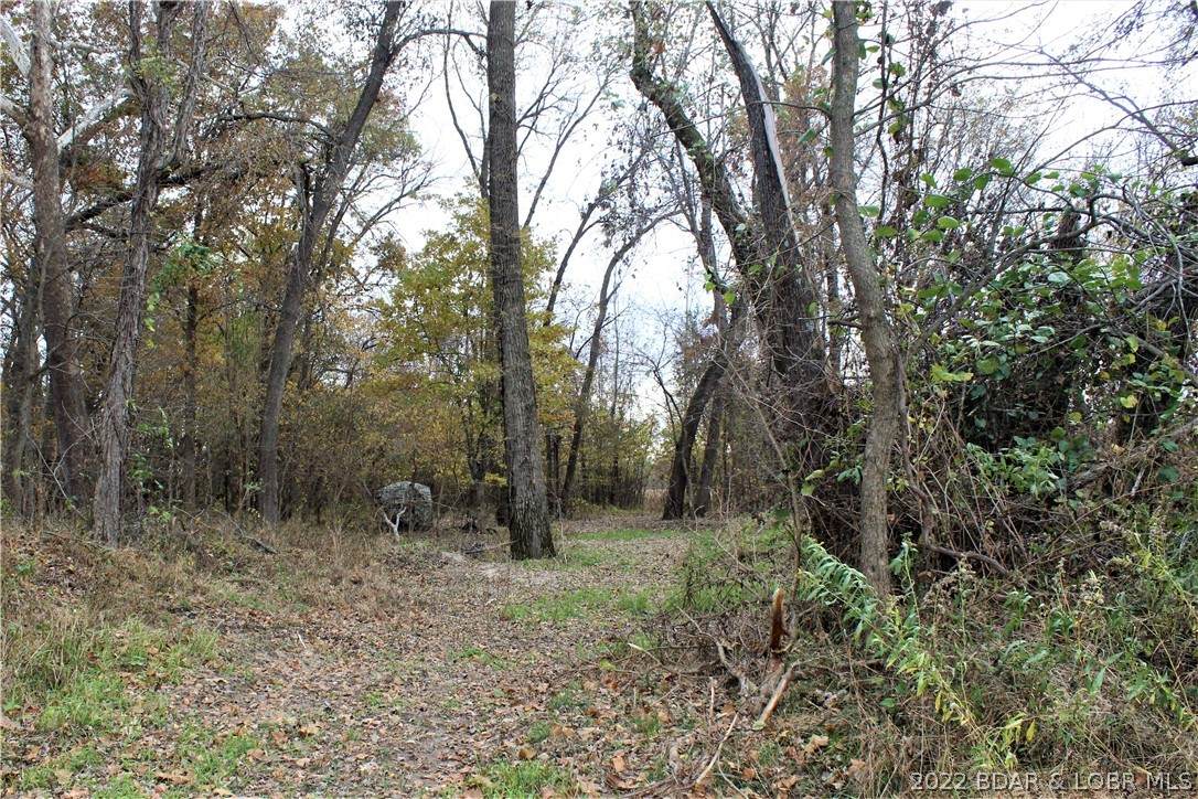 Dexter Road - Photo 1