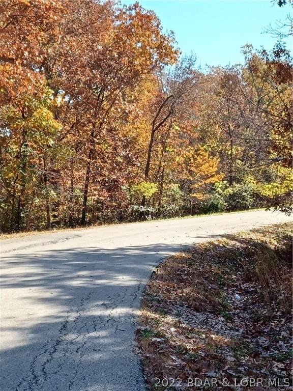 Lot 1504 Via Appia Drive - Photo 1