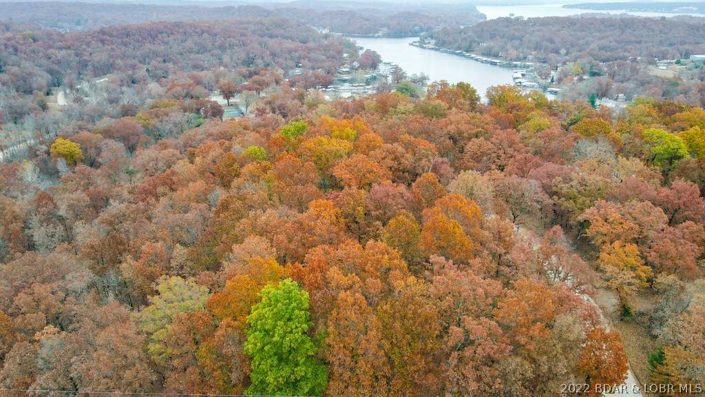 000 Bass Point Road - Photo 1