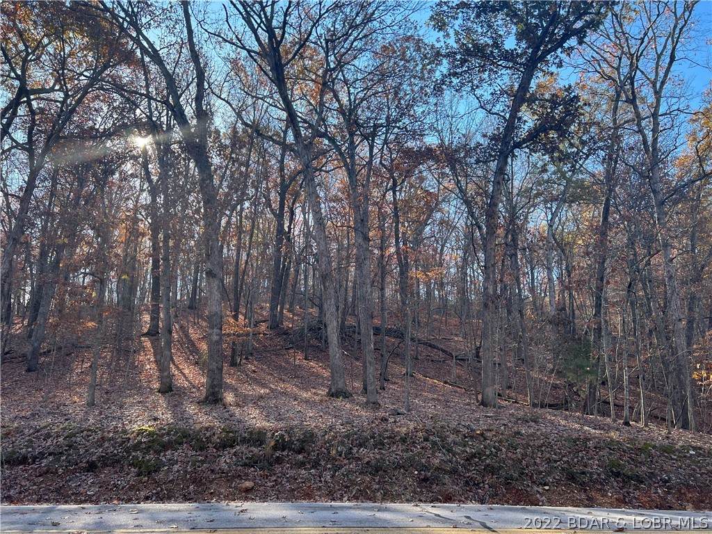 LOT 46 Dogwood Road - Photo 1