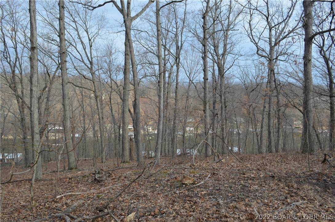 Pappy's Point - Photo 1