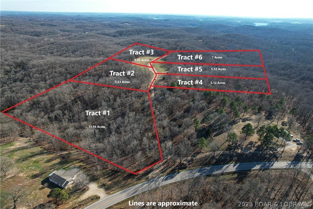TBD Circle D Farm Lane - Photo 1