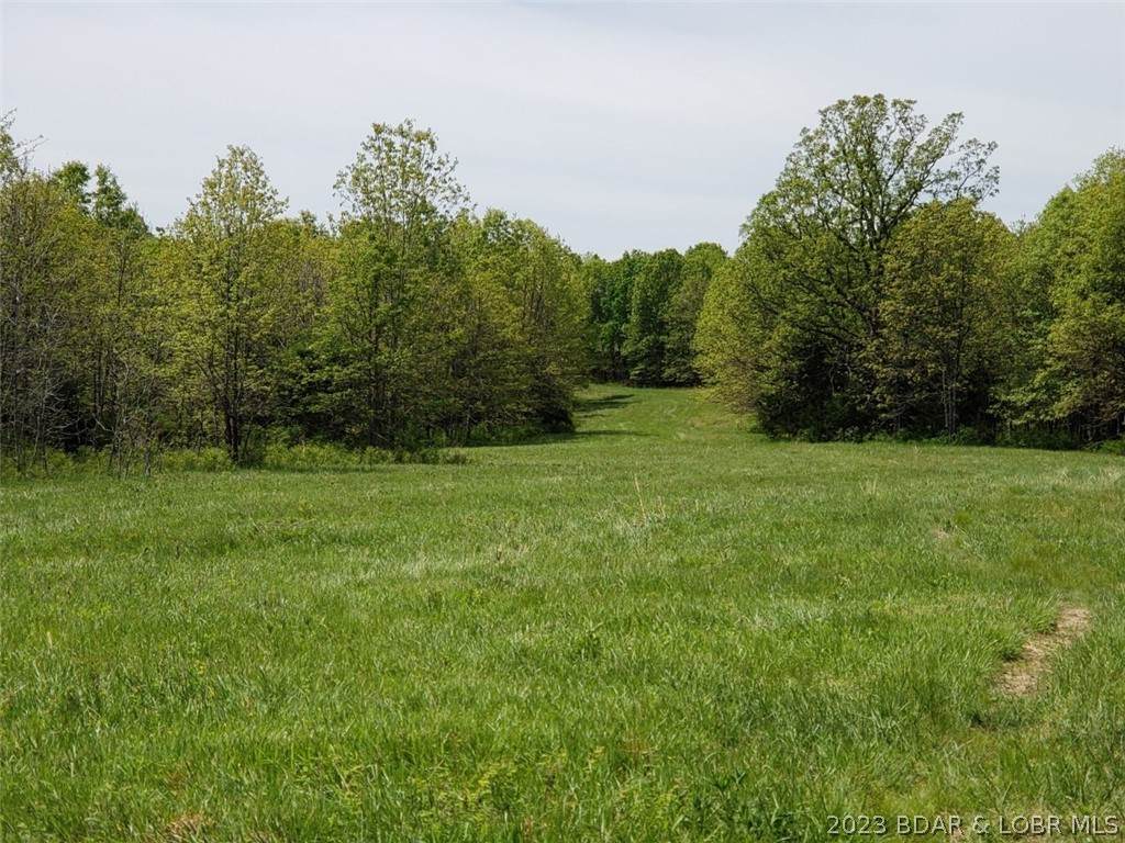 TBD Hals Lane - Photo 1