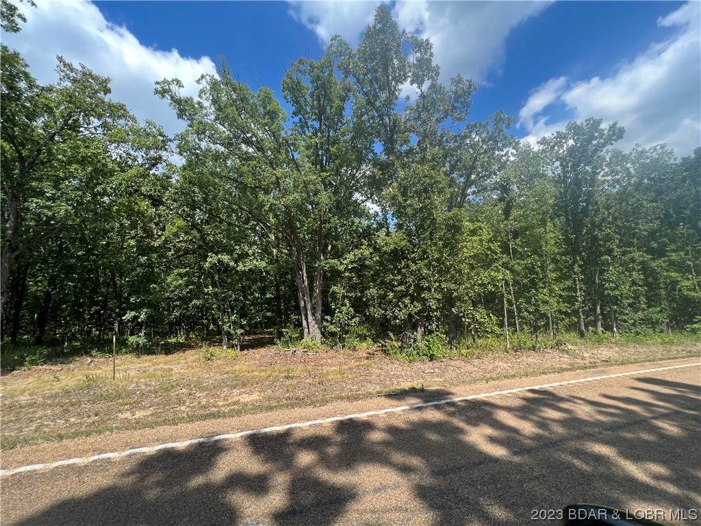 Lot D 135 Highway - Photo 1
