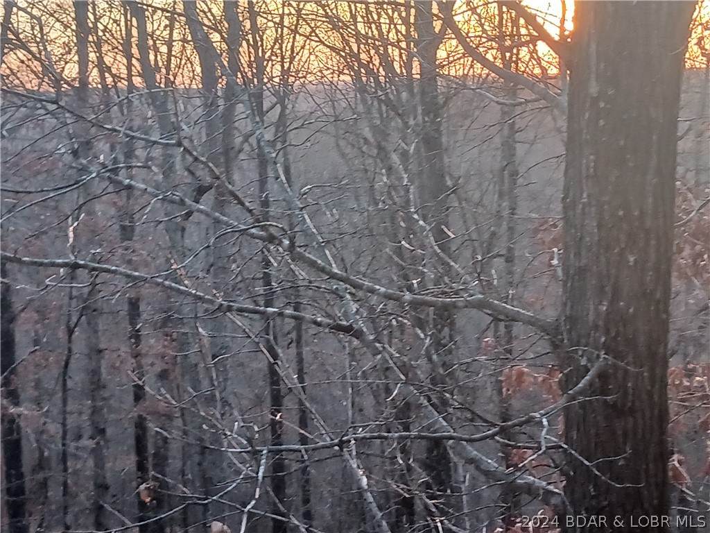 https://bt-photos.global.ssl.fastly.net/ozarks/orig_boomver_1_3562648-2.jpg