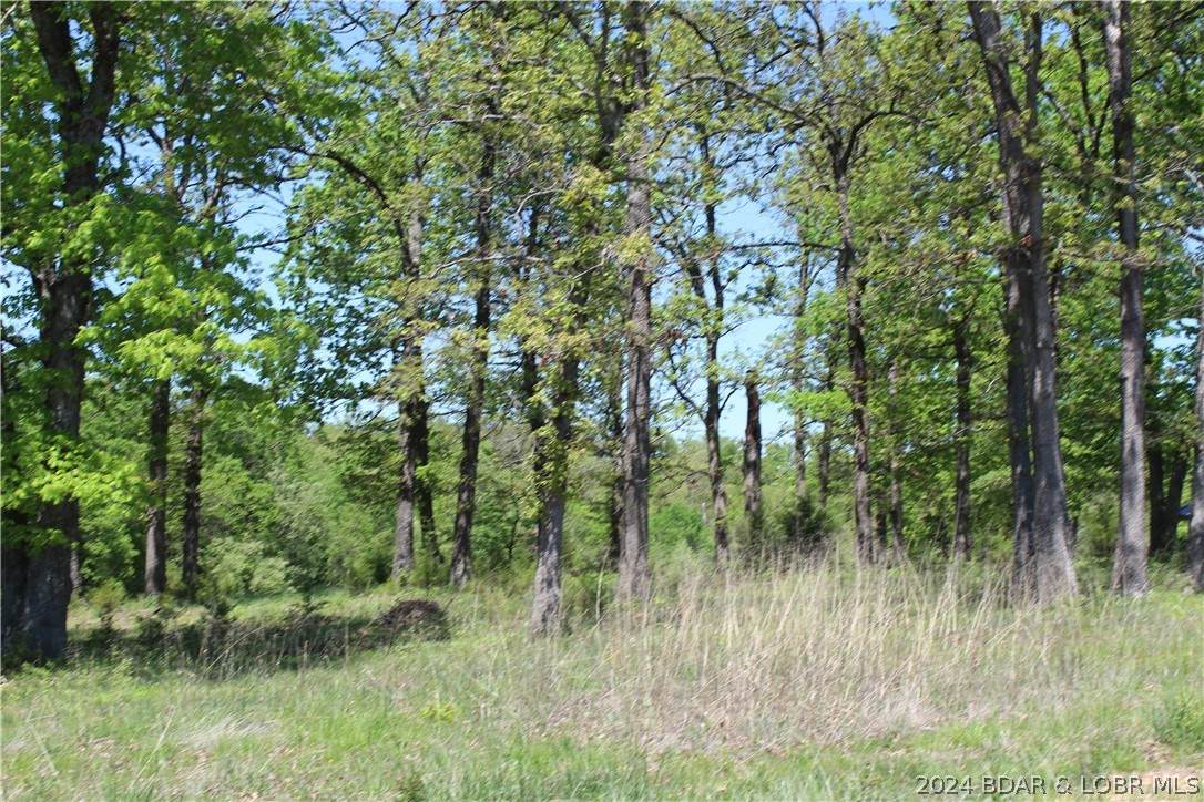 https://bt-photos.global.ssl.fastly.net/ozarks/orig_boomver_1_3563368-2.jpg