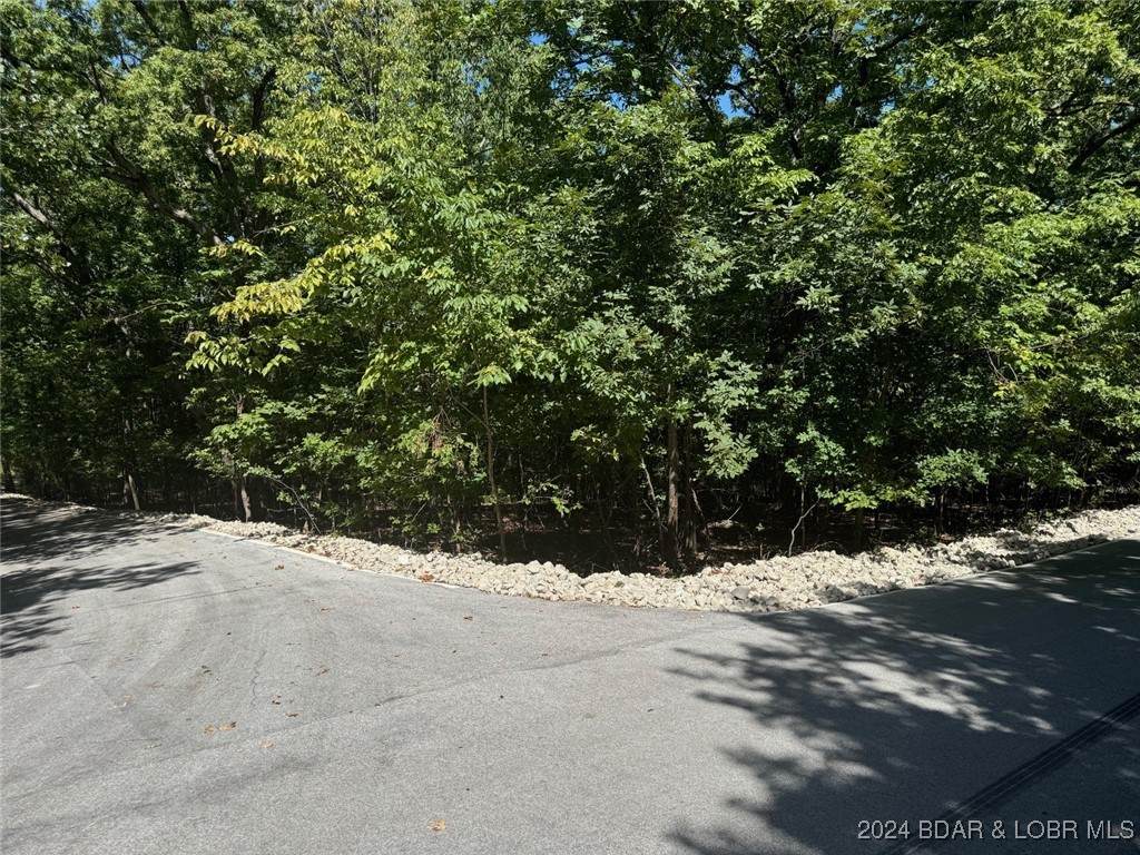 TBD Lakeshore Drive - Photo 1