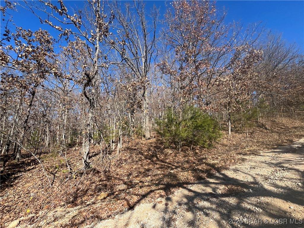 Lot 92 Illinois Lane - Photo 1