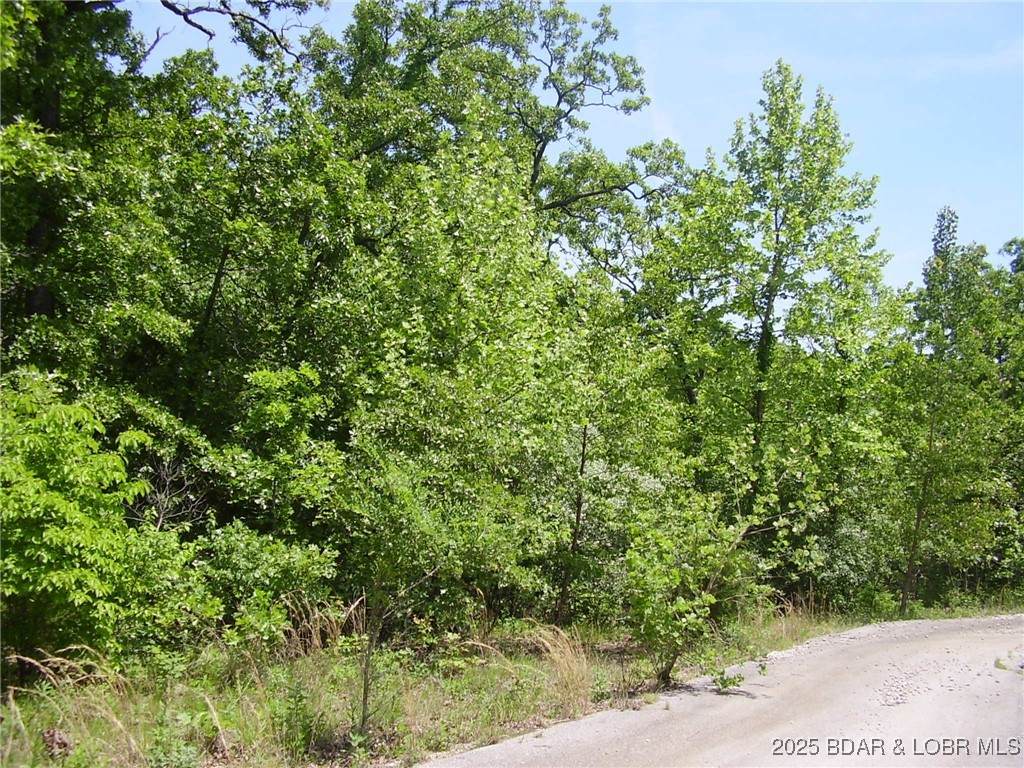 20 Silver Spur Court - Photo 1