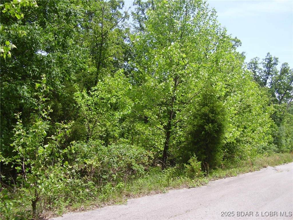 19 Silver Spur Court - Photo 1