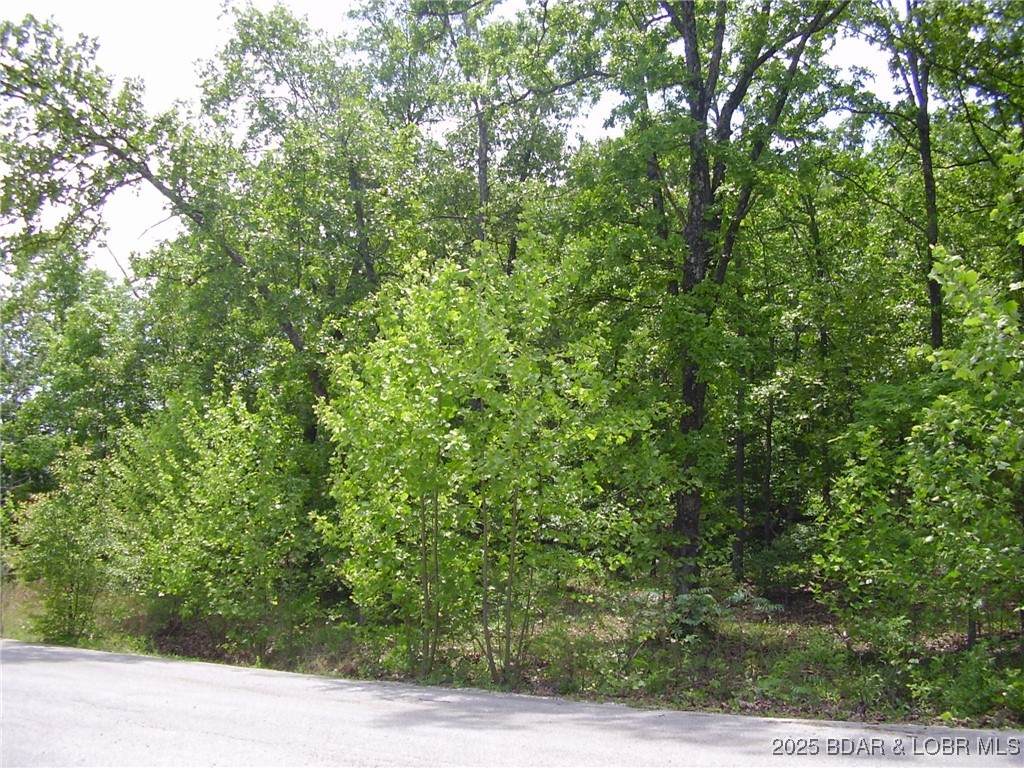 https://bt-photos.global.ssl.fastly.net/ozarks/orig_boomver_1_3576138-2.jpg