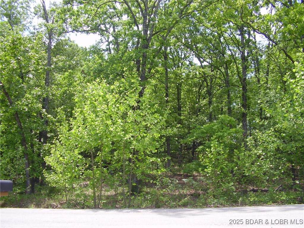 https://bt-photos.global.ssl.fastly.net/ozarks/orig_boomver_1_3576138-2.jpg