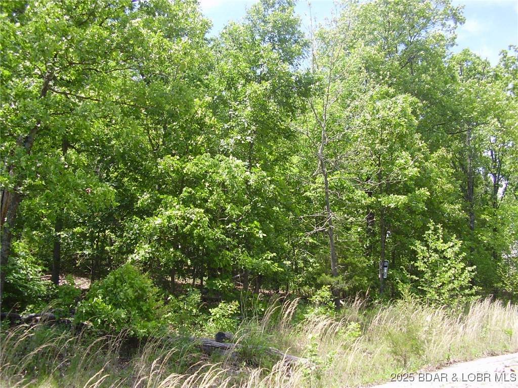 https://bt-photos.global.ssl.fastly.net/ozarks/orig_boomver_1_3576138-2.jpg