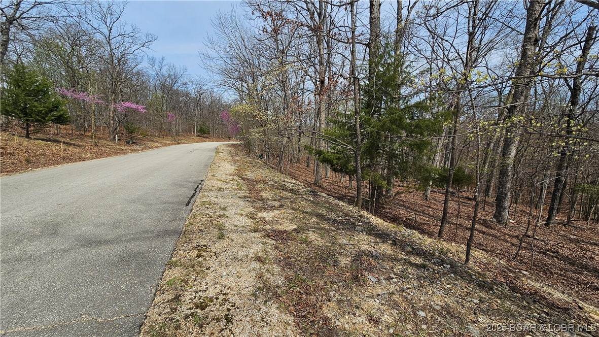 Lot #362 Lake Drive - Photo 1