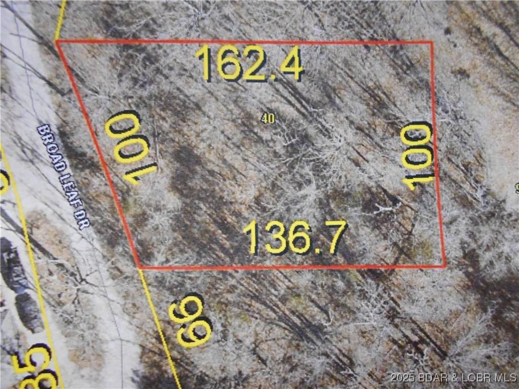  Broad Leaf Road - Photo 1