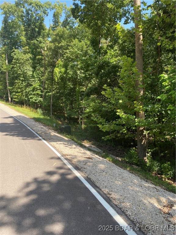 Lot 125 Veronica Lane - Photo 1