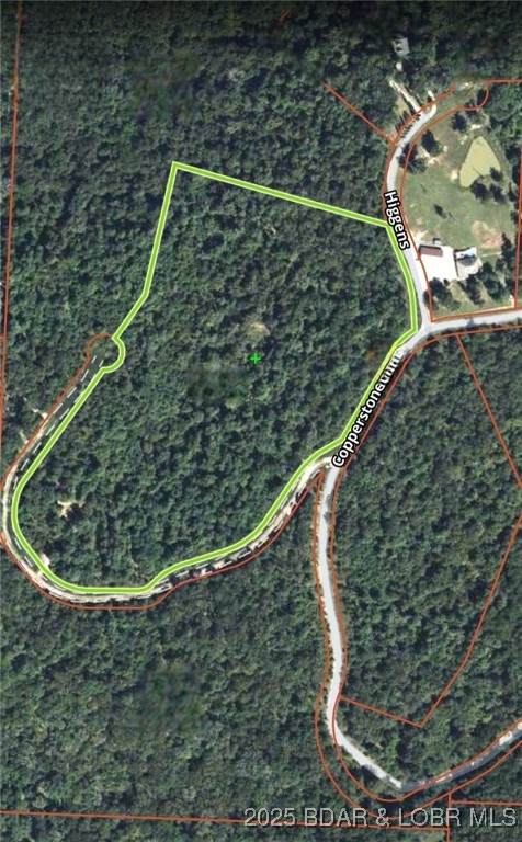 TBD Copperstone Road - Photo 1