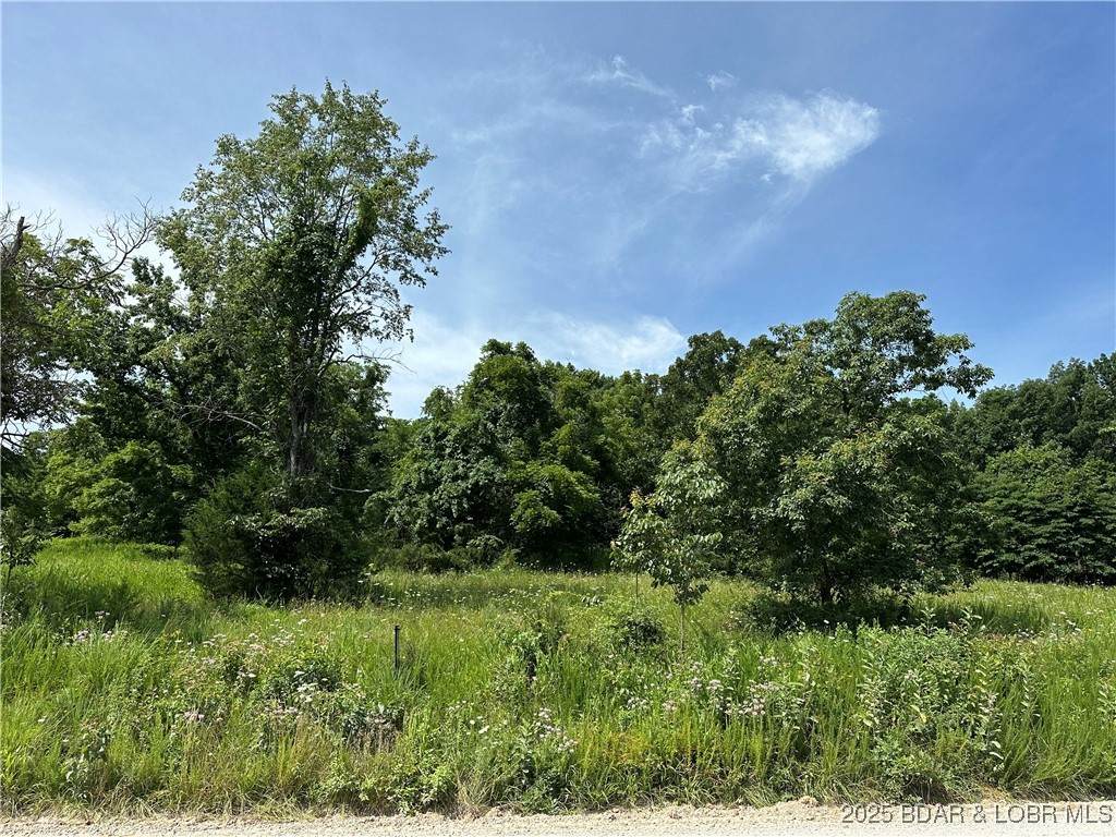 LOT 4R Lick Creek Road - Photo 1