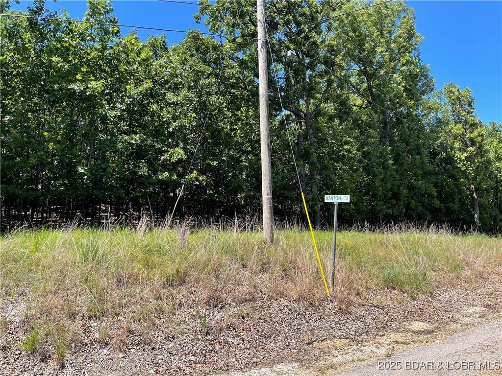 Lots 1393 & 1394 Ashton Lane - Photo 1