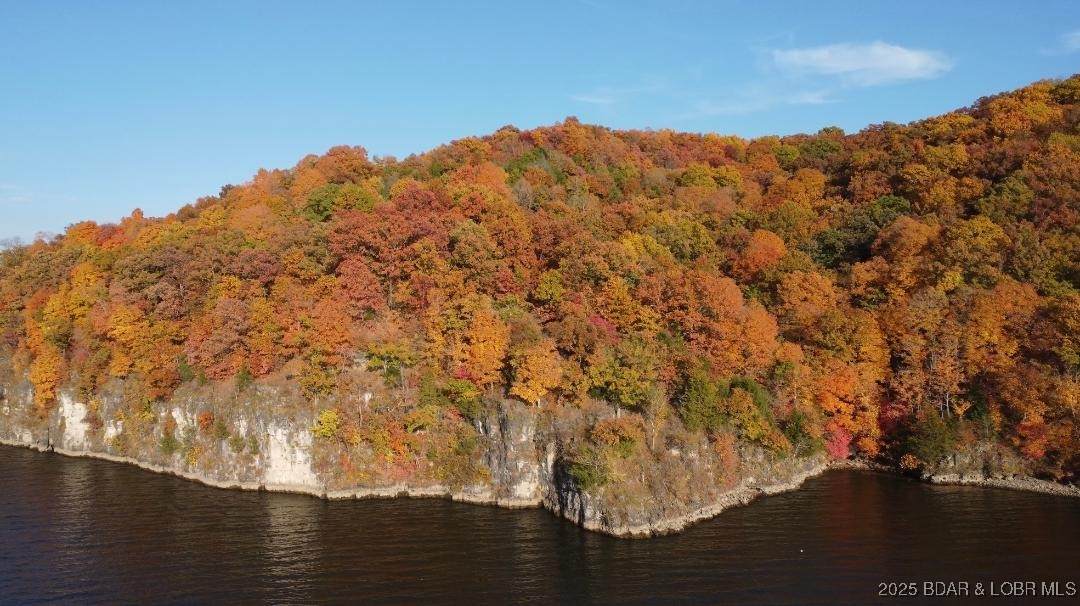 TBD Cozy Road - Photo 1