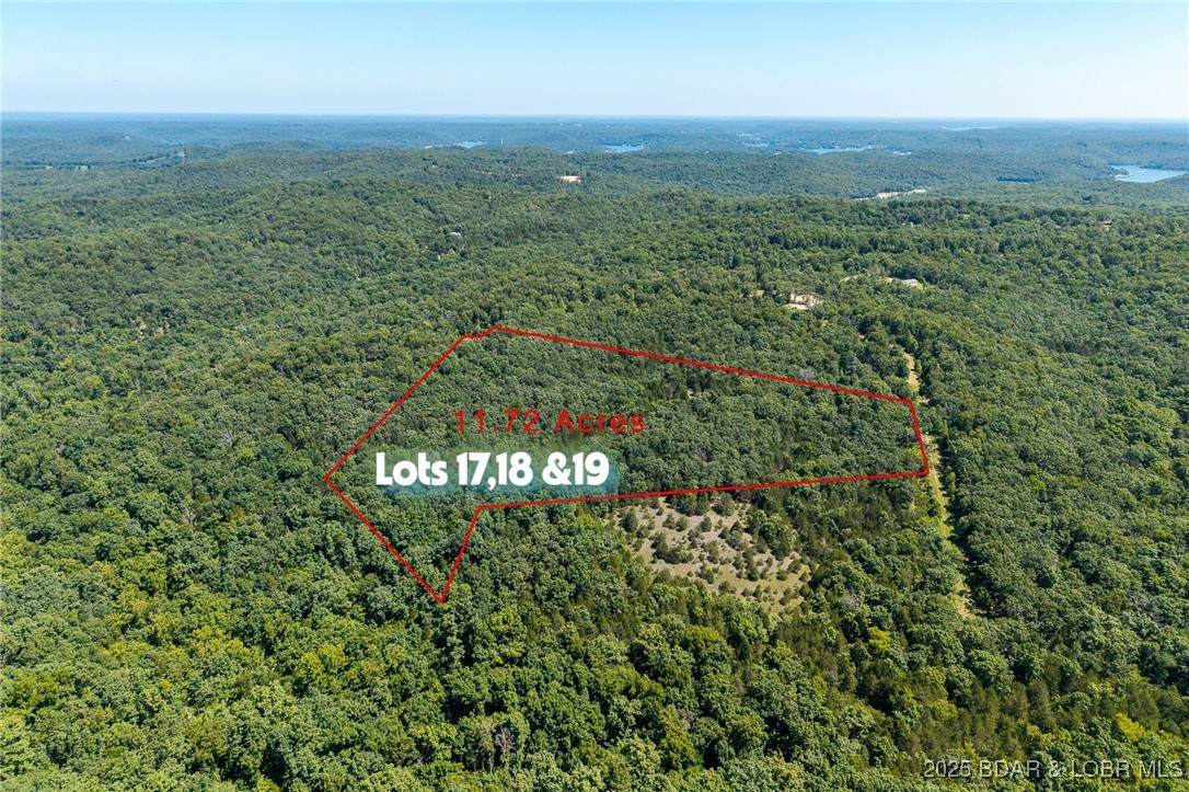 LOTS 17, 18 & 19 Lost Buck Drive - Photo 1