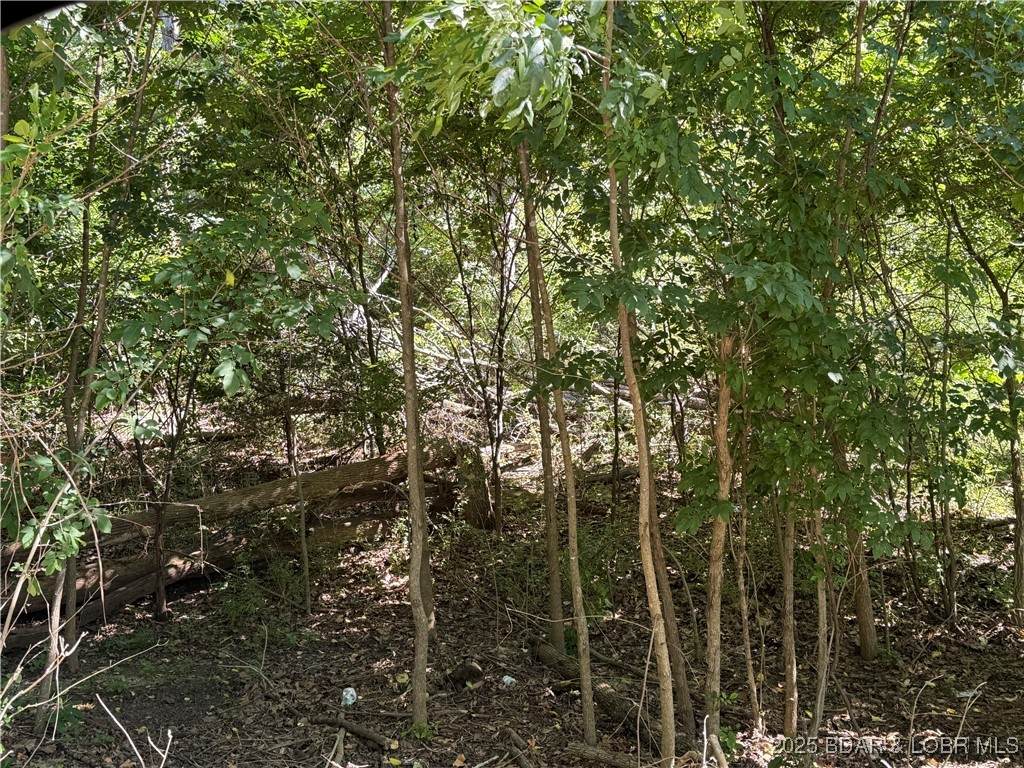 TBD Lot #4 Skipper Lane - Photo 1