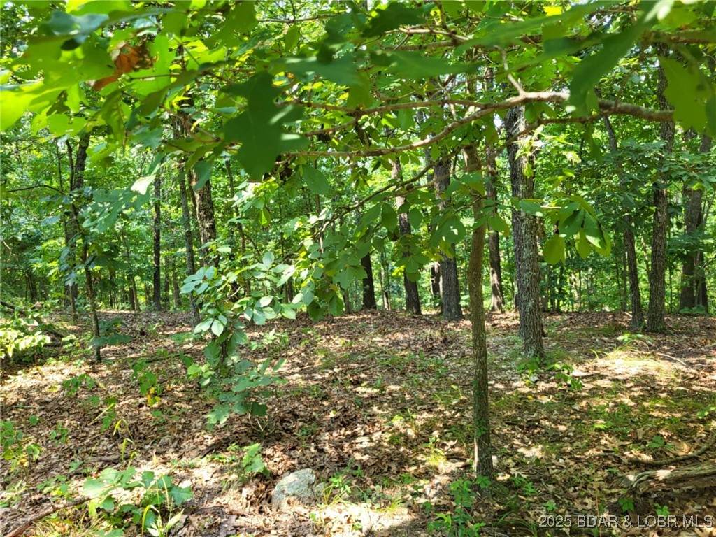  Lee Drive - Photo 1