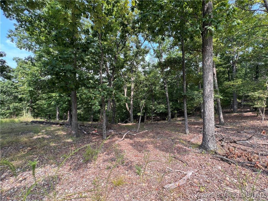 Lot 630 Eagle Drive - Photo 1