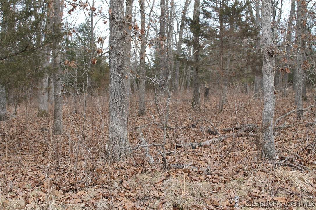  Winarsky Circle - Photo 1