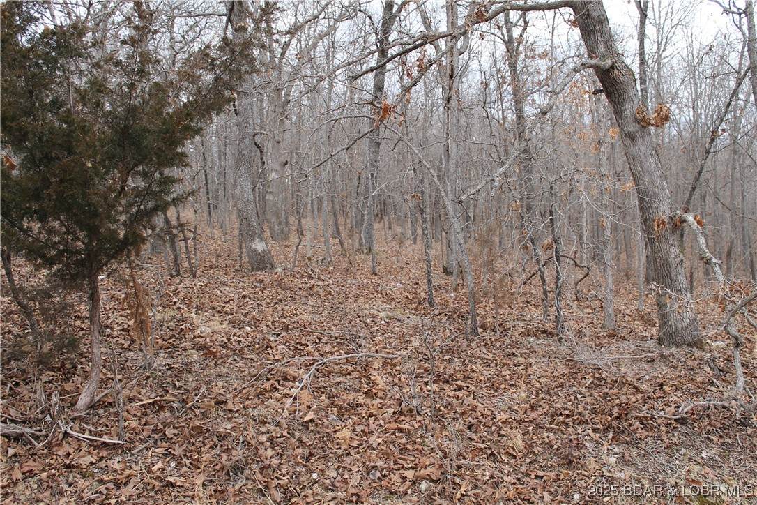  Bogardus Road - Photo 1