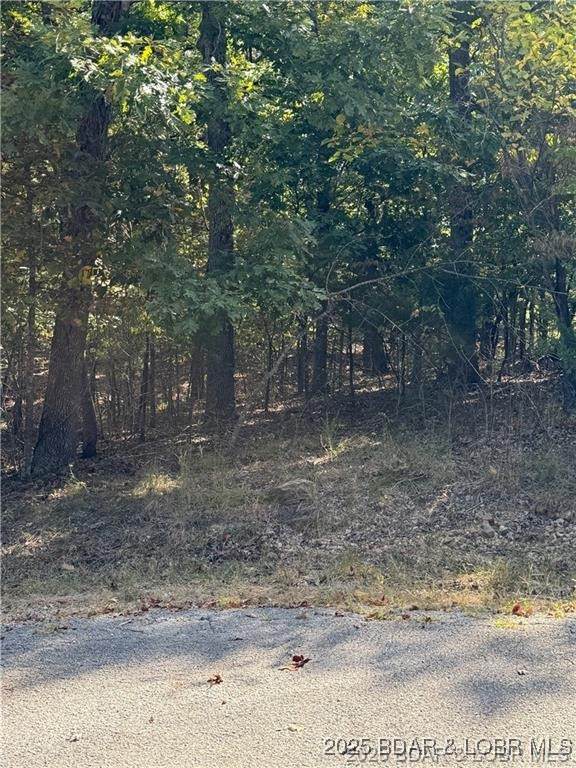 Lot 1093 Salem Drive - Photo 1