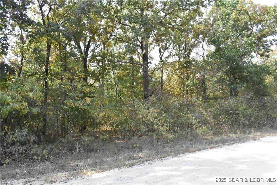 TBD Stoney Oak Drive - Photo 1