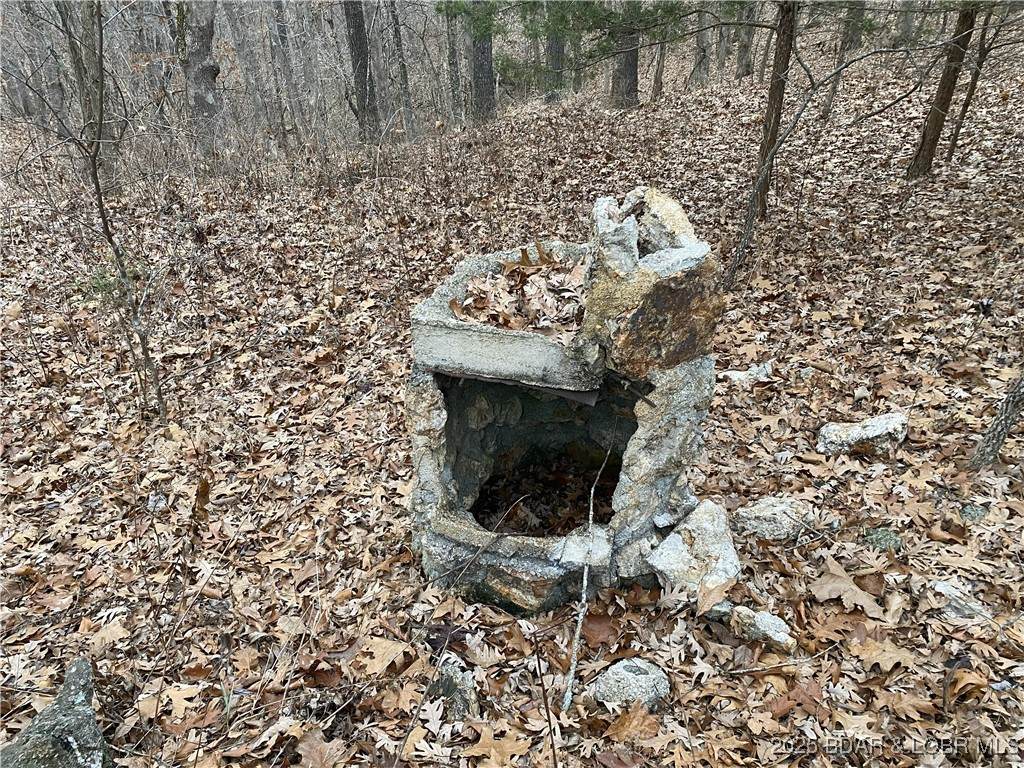 https://bt-photos.global.ssl.fastly.net/ozarks/orig_boomver_1_3580711-2.jpg