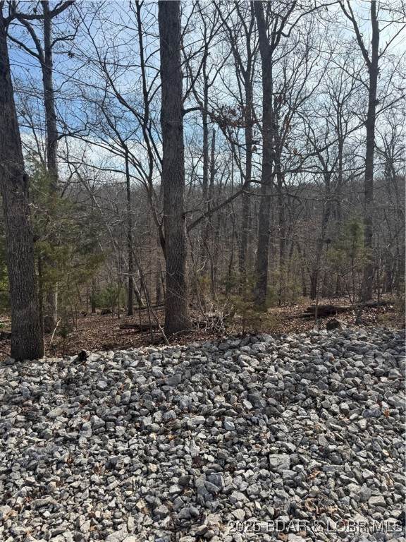 Lot 479 Parker Pt. - Photo 1