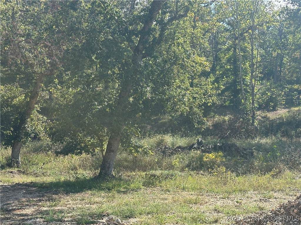 Lot 21 Mayerling Drive - Photo 1