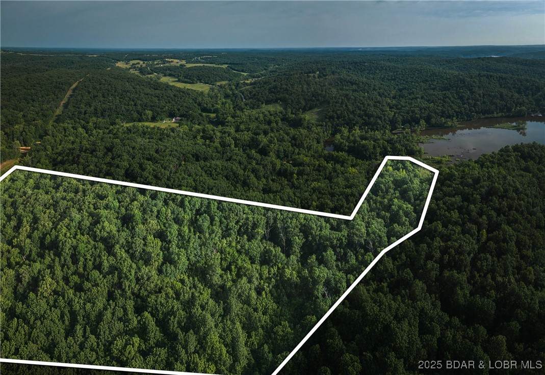 Tract 4 State Road Z - Photo 1