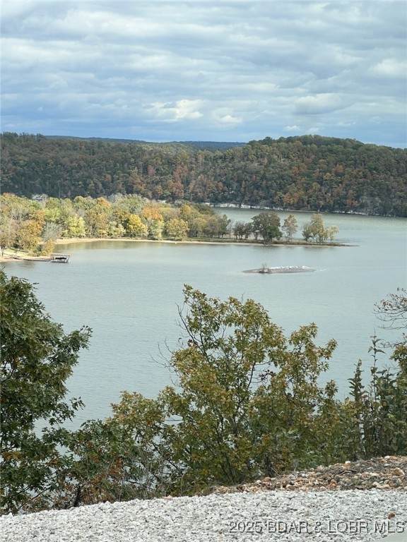 4423 Lws High Point Road - Photo 1