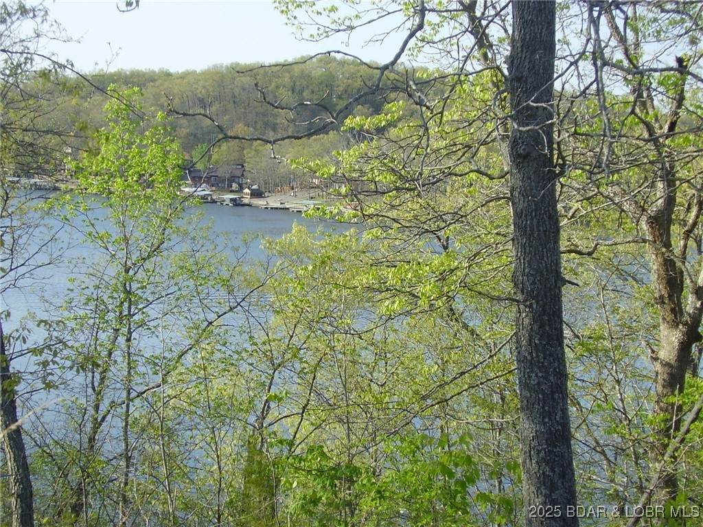 https://bt-photos.global.ssl.fastly.net/ozarks/orig_boomver_1_3582559-2.jpg