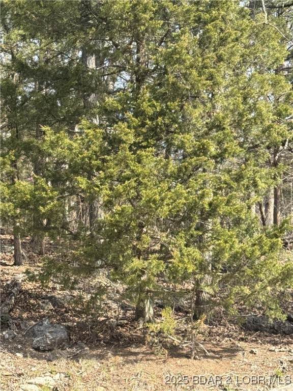 TBD Cambridge Dr. - Photo 1