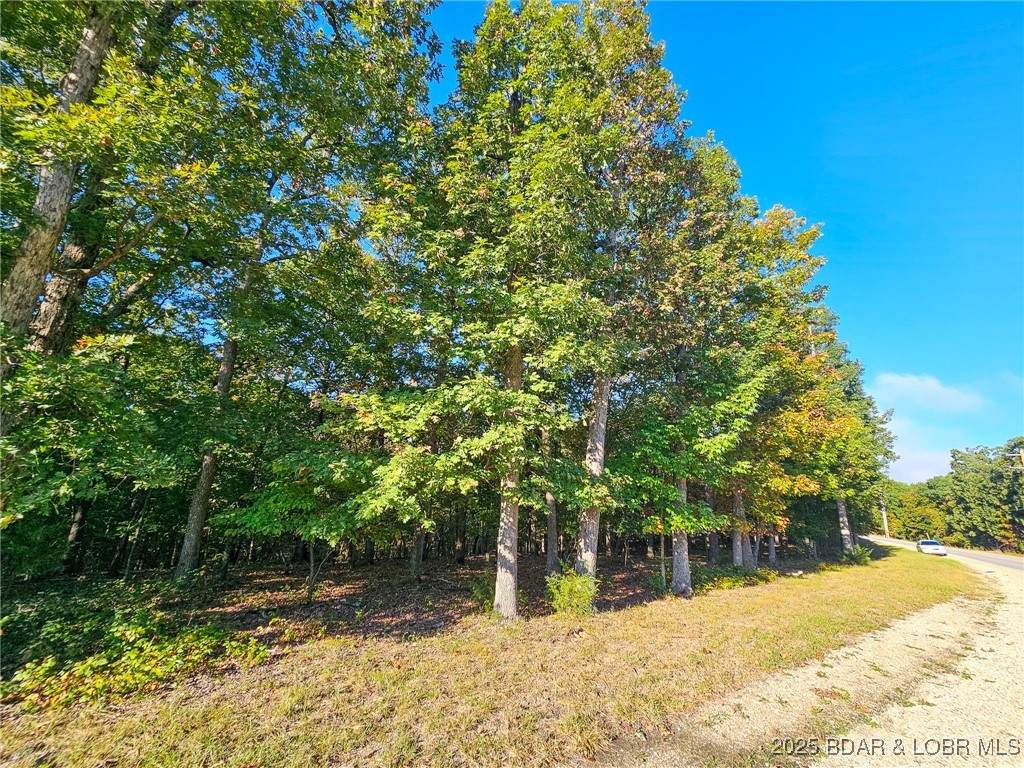 Lot #1060 Bittersweet Road - Photo 1