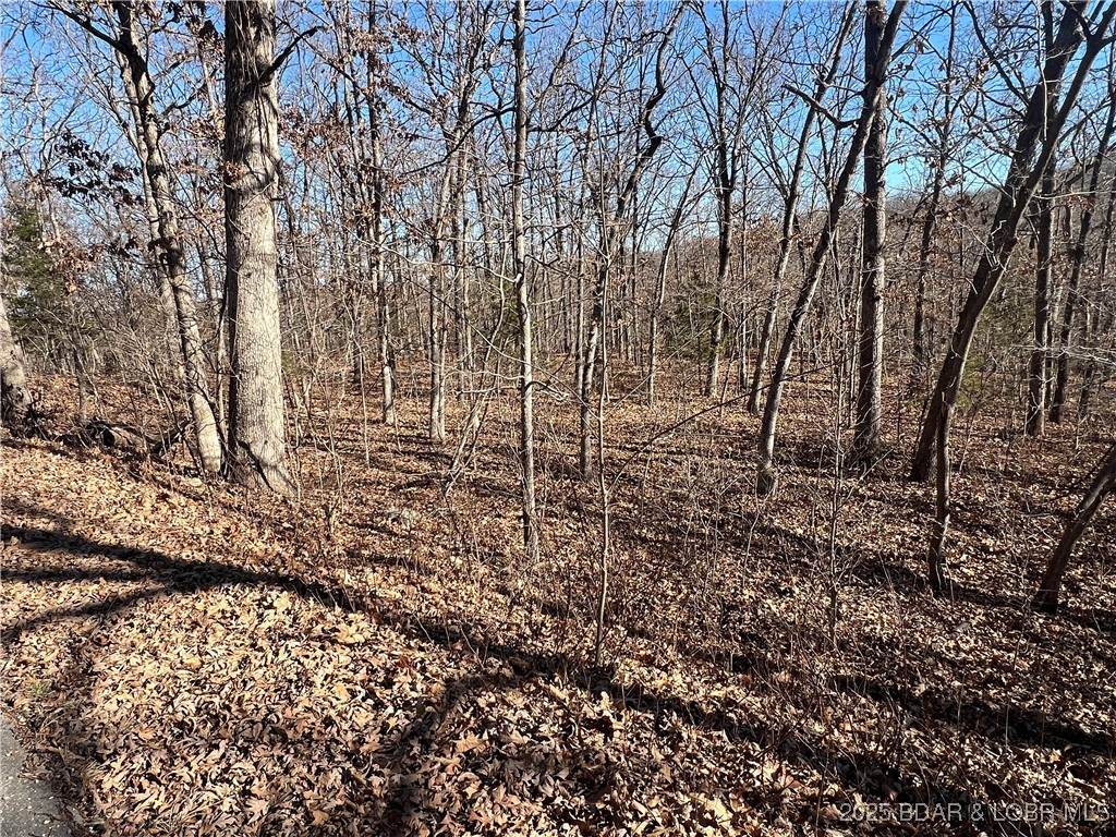 https://bt-photos.global.ssl.fastly.net/ozarks/orig_boomver_1_3582986-2.jpg