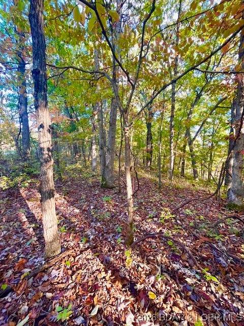 https://bt-photos.global.ssl.fastly.net/ozarks/orig_boomver_1_3583158-2.jpg