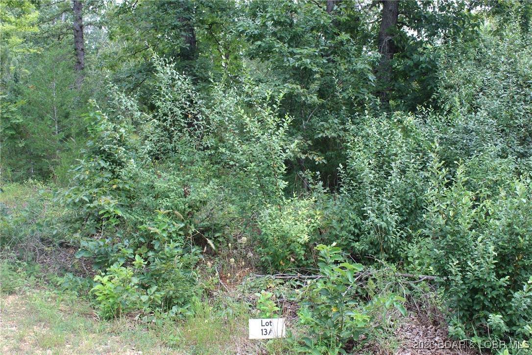 https://bt-photos.global.ssl.fastly.net/ozarks/orig_boomver_1_3583216-2.jpg