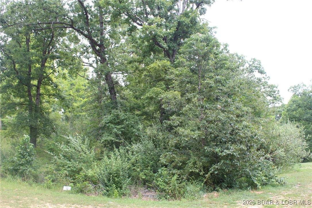 https://bt-photos.global.ssl.fastly.net/ozarks/orig_boomver_1_3583216-2.jpg
