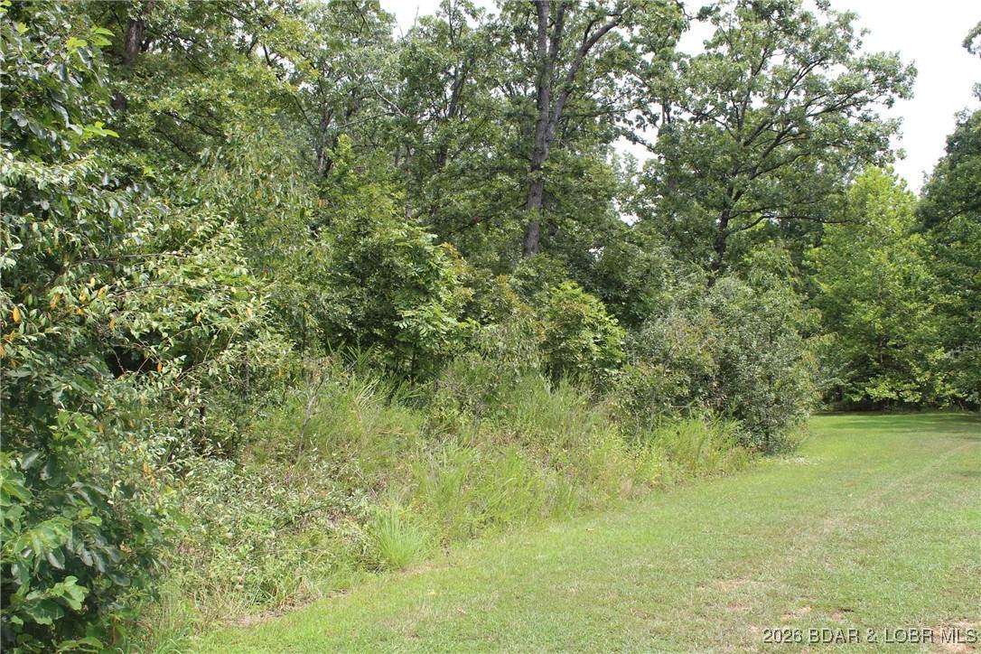https://bt-photos.global.ssl.fastly.net/ozarks/orig_boomver_1_3583216-2.jpg